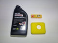Briggs and Stratton 450E, 500E Engine Service Kit